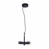 Подвесной светильник Maytoni Toronto MOD974-PLBase-03-Black