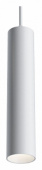 Подвесной светильник Maytoni Track lamps TR016-2-12W4K-W