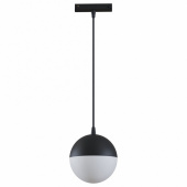 Подвесной светильник Maytoni Track lamps TR018-2-10W4K-B