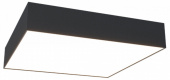 Накладной светильник Maytoni Zon C067CL-L40B3K