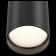 Накладной светильник Maytoni Focus S C052CL-01B