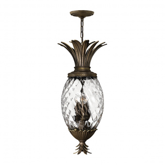 Подвесной светильник Hinkely Lighting, Арт. HK-PLANT4-P-PZ