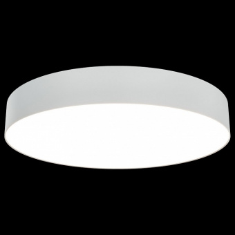 Накладной светильник Maytoni Zon C032CL-L48W3K