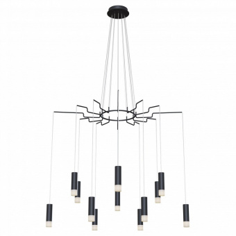 Подвесная люстра Maytoni Davida MOD035PL-12B