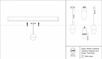 Подвесной светильник Maytoni Track lamps TR018-2-10W3K-B