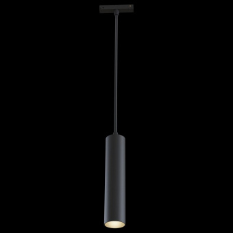 Подвесной светильник Maytoni Track lamps TR016-2-12W3K-B