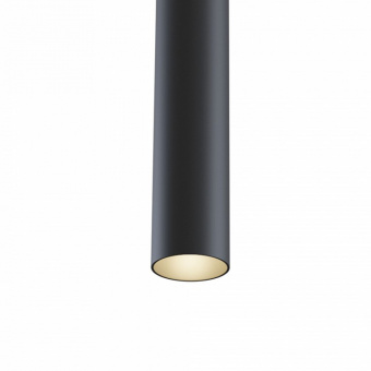 Подвесной светильник Maytoni Track lamps TR016-2-12W3K-B
