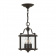Люстра Hinkely Lighting, Арт. HK-HOLDEN4-KZ Люстра Hinkely Lighting, Арт. HK-HOLDEN4-KZ