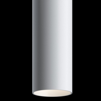 Подвесной светильник Maytoni Track lamps TR016-2-12W4K-W