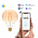 Лампа светодиодная с управлением через Wi-Fi Gauss Smart Home E27 6.5Вт 2000-5500K 1340112 Лампа светодиодная с управлением через Wi-Fi Gauss Smart Home E27 6.5Вт 2000-5500K 1340112