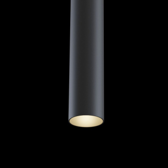 Подвесной светильник Maytoni Track lamps TR016-2-12W3K-B