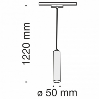 Подвесной светильник Maytoni Track lamps TR016-2-12W3K-B