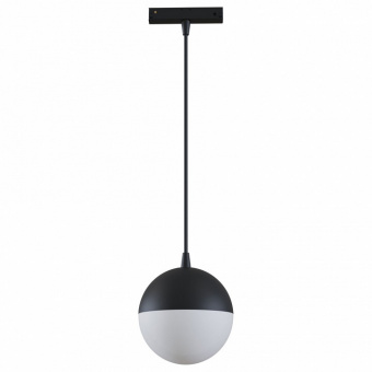 Подвесной светильник Maytoni Track lamps TR018-2-10W4K-B
