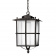 Светильник подвесной уличный Leds C4 Rustica 00-9866-18-M3 Светильник подвесной уличный Leds C4 Rustica 00-9866-18-M3