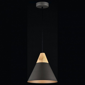 Подвесной светильник Maytoni Bicones P359-PL-220-C