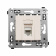 DKC Avanti Ванильная дымка Компьютерная розетка RJ-45 один категория 6А DKC Avanti Ванильная дымка Компьютерная розетка RJ-45 один категория 6А