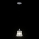 Подвесной светильник Maytoni Monsoon ARM154-PL-01-S