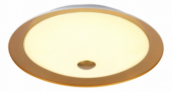 Накладной светильник Maytoni Euler CL815-PT50-G