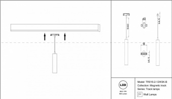 Подвесной светильник Maytoni Track lamps TR016-2-12W3K-B
