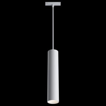 Подвесной светильник Maytoni Track lamps TR016-2-12W3K-W
