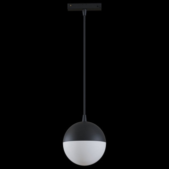 Подвесной светильник Maytoni Track lamps TR018-2-10W3K-B