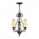 Люстра Hinkely Lighting, Арт. HK-PLANT3-PZ