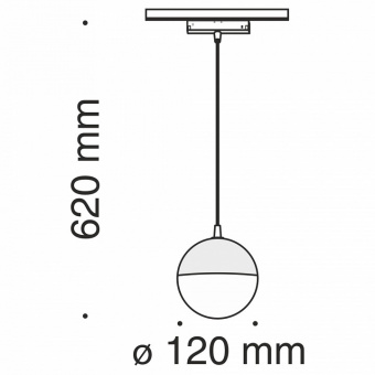 Подвесной светильник Maytoni Track lamps TR018-2-10W3K-B