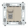 DKC Avanti Ванильная дымка Компьютерная розетка RJ-45 одинарная категория 5e экранированная DKC Avanti Ванильная дымка Компьютерная розетка RJ-45 одинарная категория 5e экранированная