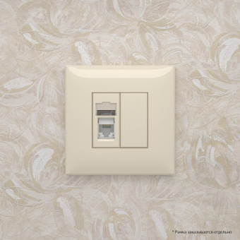 DKC Avanti Ванильная дымка Компьютерная розетка RJ-45 один  категория 5e