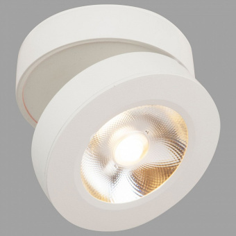 Накладной светильник Maytoni Alivar C022CL-L12W