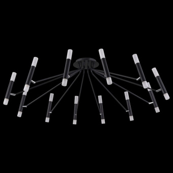 Потолочная люстра Maytoni Vigo MOD620CL-24B