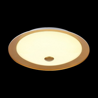Накладной светильник Maytoni Euler CL815-PT50-G