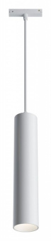 Подвесной светильник Maytoni Track lamps TR016-2-12W3K-W